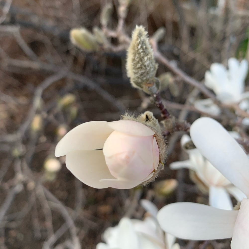 Meet your Posher, Kahryn